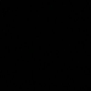 Meet your Posher, Lexis